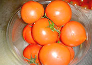 歯科院長の料理レシピ 「 フルーツトマトの冷たいパスタ 」