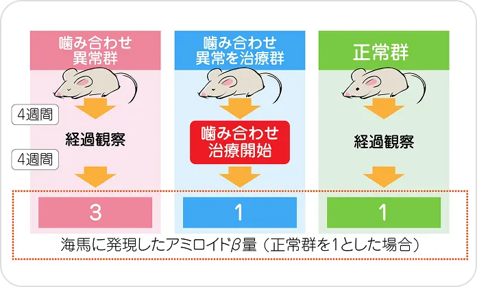 海馬に発現したアミロイドβ